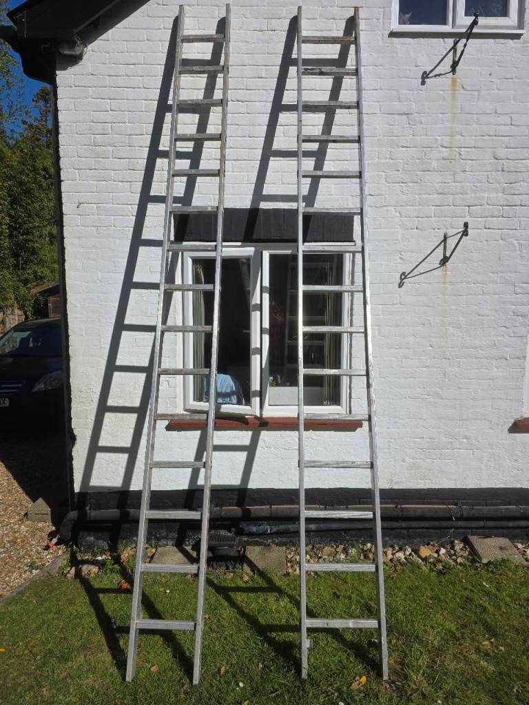 Youngman Trade 350 Ladders