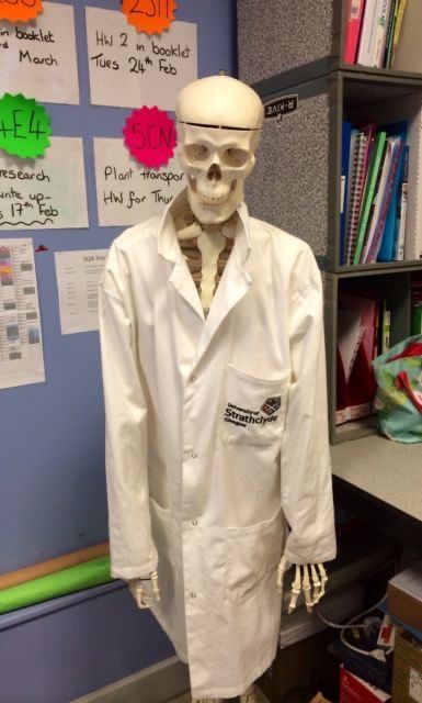 Biology Tutor Available Scotland-wide (online) or face-to-face (East Kilbride area)