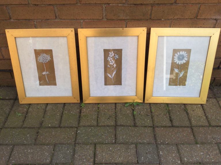 Kate Mawdsley Framed Prints