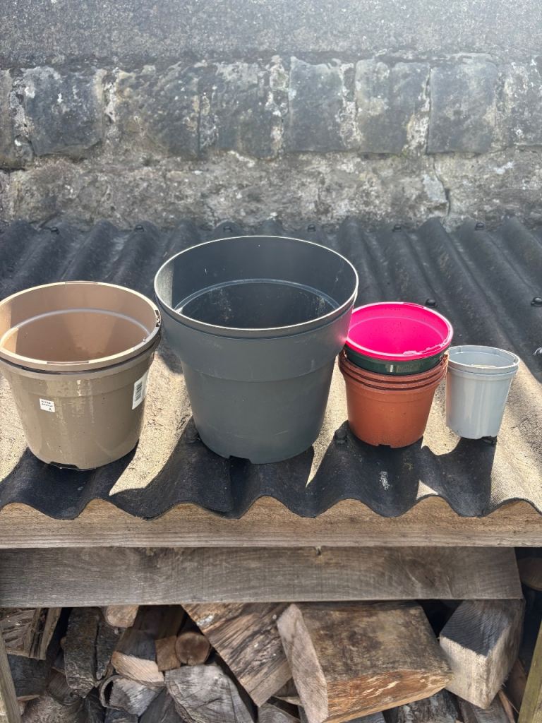 Plastic Plant Pots (Free) 