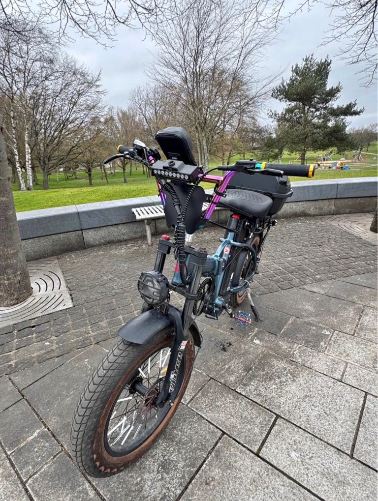 Folding Fat Tyre Electric Bike 2 Batteries Long Range E-Bike 