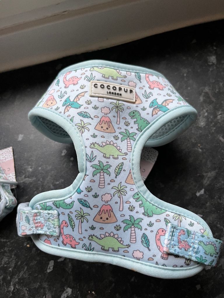 Cocopups XS Dinopaws collar and harness 