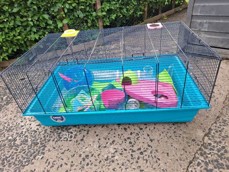 Hamster cage