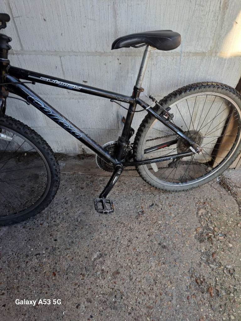 Carrera subway junior bike 