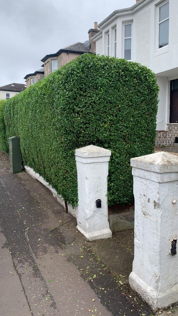 Handyman Rutherglen & surrounding areas