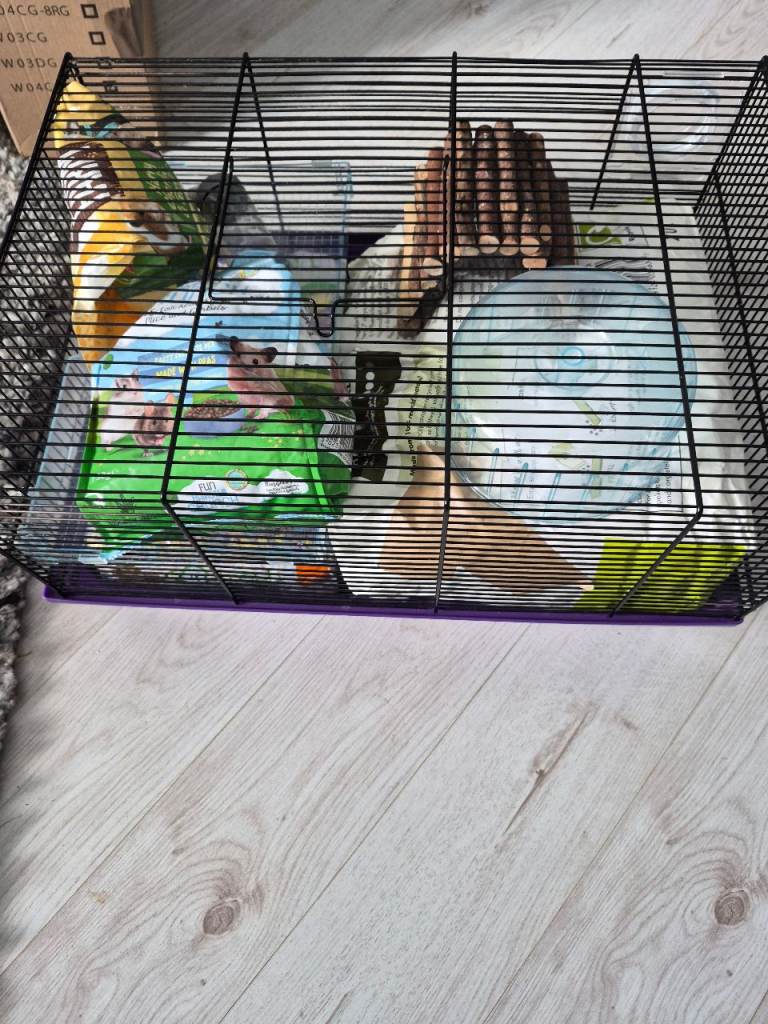 Hamster  cage