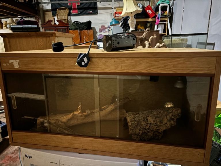 Large vivarium with ornaments 