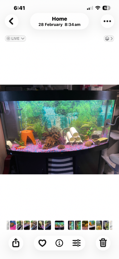 260l jewel fish tank 
