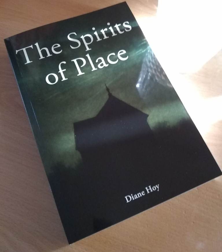 image for The Spirits of Place by Diane Hoy
