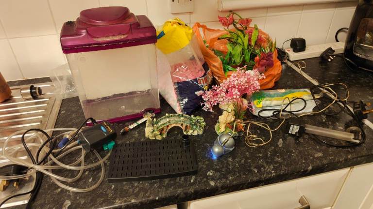 5 litre Pink Fish Tank and accessories 