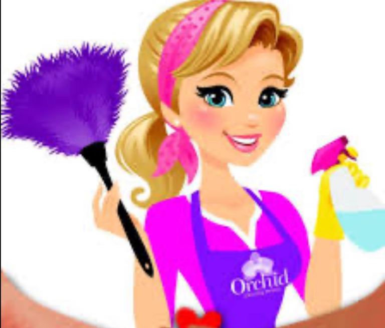 Professional House Cleaning Services | Deep Clean & Regular Cleaning | North London