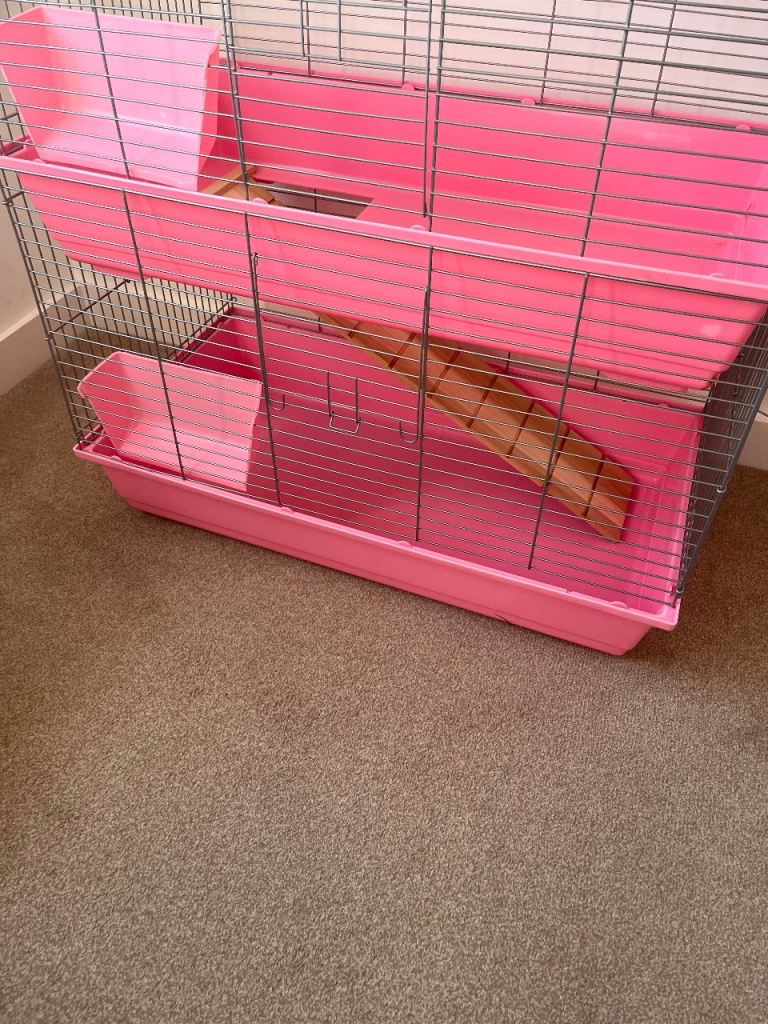 Indoor Guinea pig cage pink