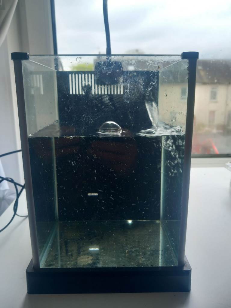 Small fluval fish tank with light and filter