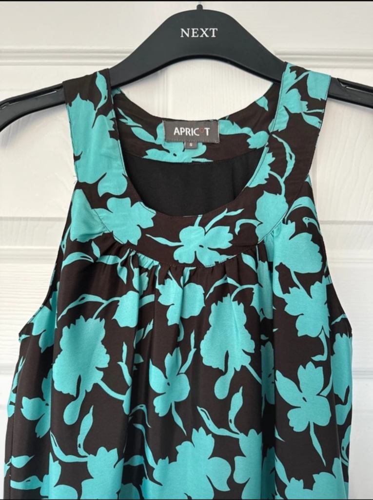 Apricot Black and teal dress