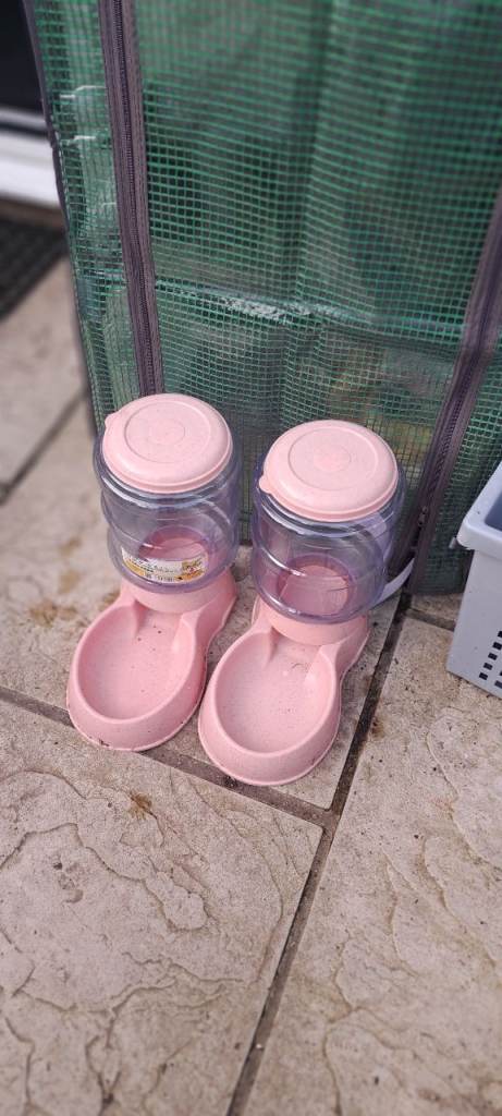 Cat feeder 1 available pink large for dry food 