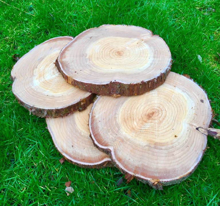 Log slices rustic wedding decorations cake stands