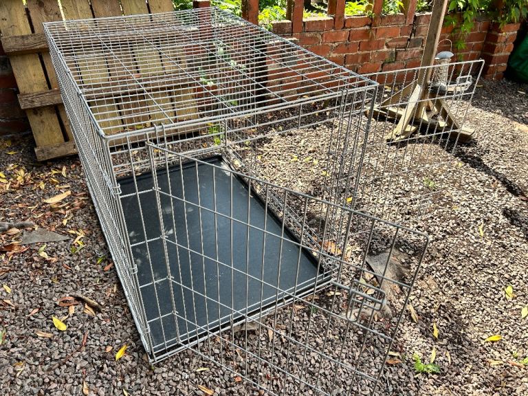Dog crate 