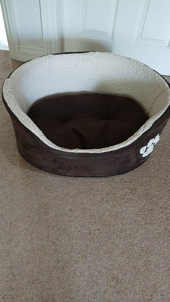 Dog bed and lead