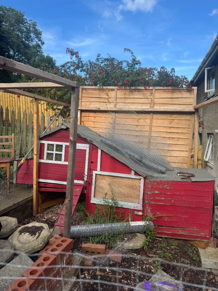 Chicken Coup project with Rolls of wire mesh