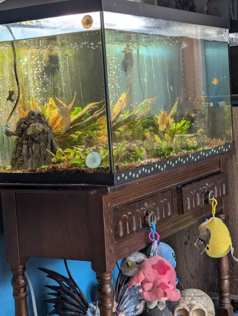 Full setup 110litres