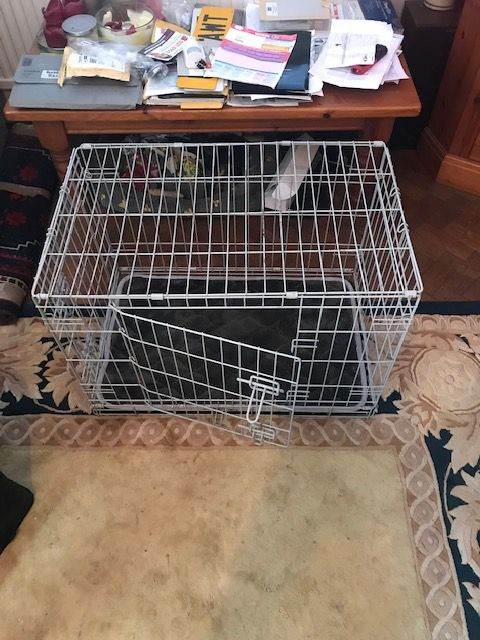 KONG Utra Strong two door dog crate