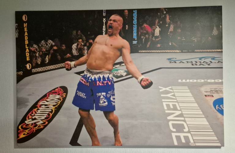 UFC Canvas (large)