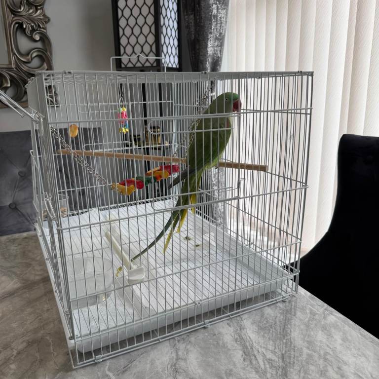 Cage for Sale