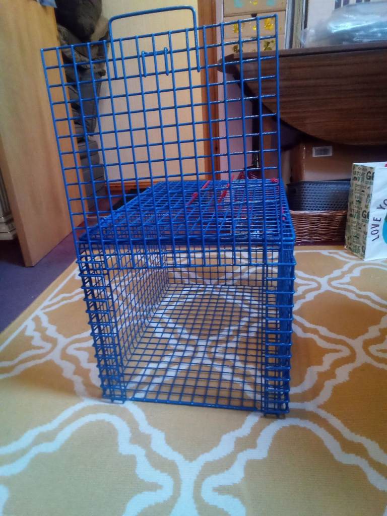 Very large cat carrier.