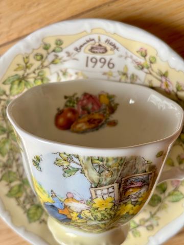 Rare Royal Doulton Brambly Hedge 1996 Cup and Saucer – As Good As