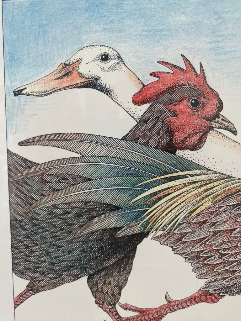 “POULTRY IN MOTION” SIGNED CHICKEN PRINT  PICTURE BY SIMON DREW IN GLAZED FRAME
