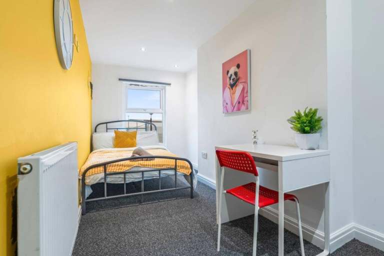 Rooms in Friendly 6-Bed HMO - Picton Road