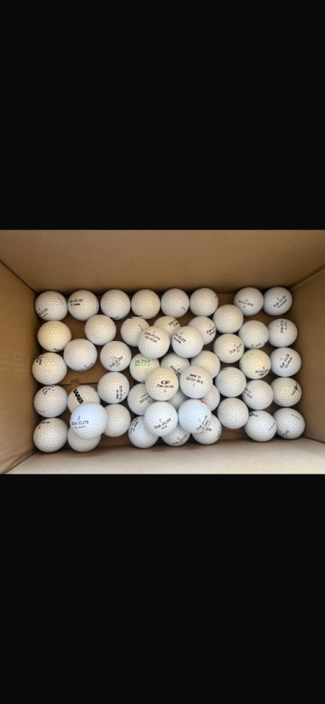 50x TopFlite mixed white golf balls.