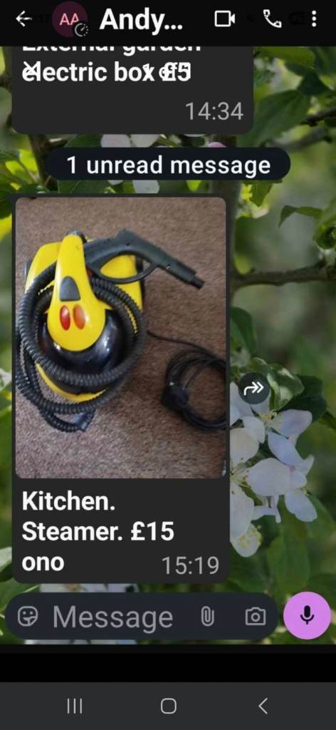 Steam cleaner