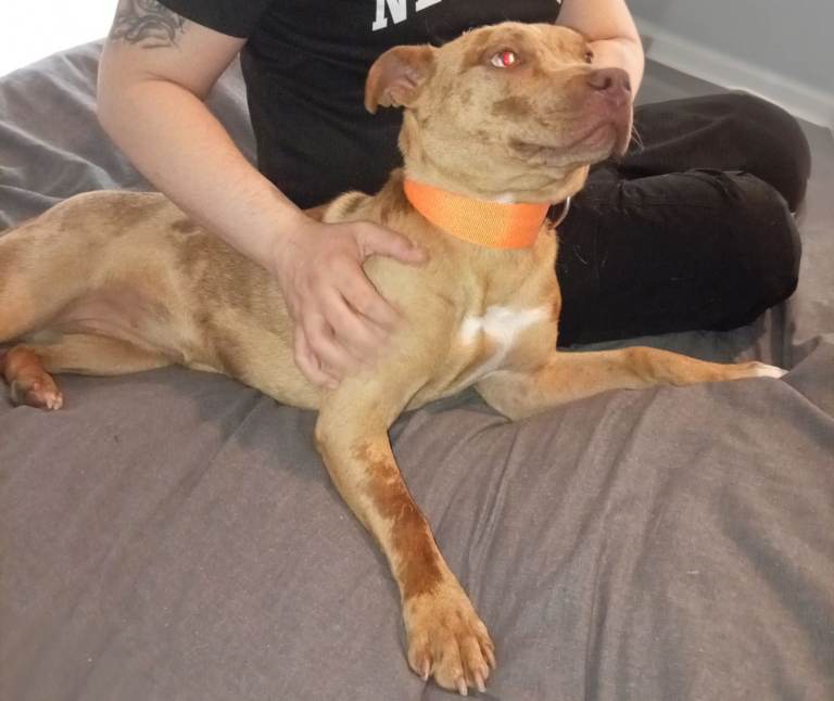 10 month old female