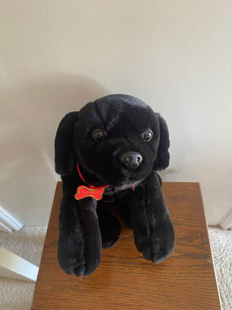 Cute 'n' soft Hooli Mooli Black Labrador soft toy