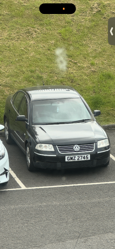 Volkswagen Passat B5.5 1.9 TDI 4motion