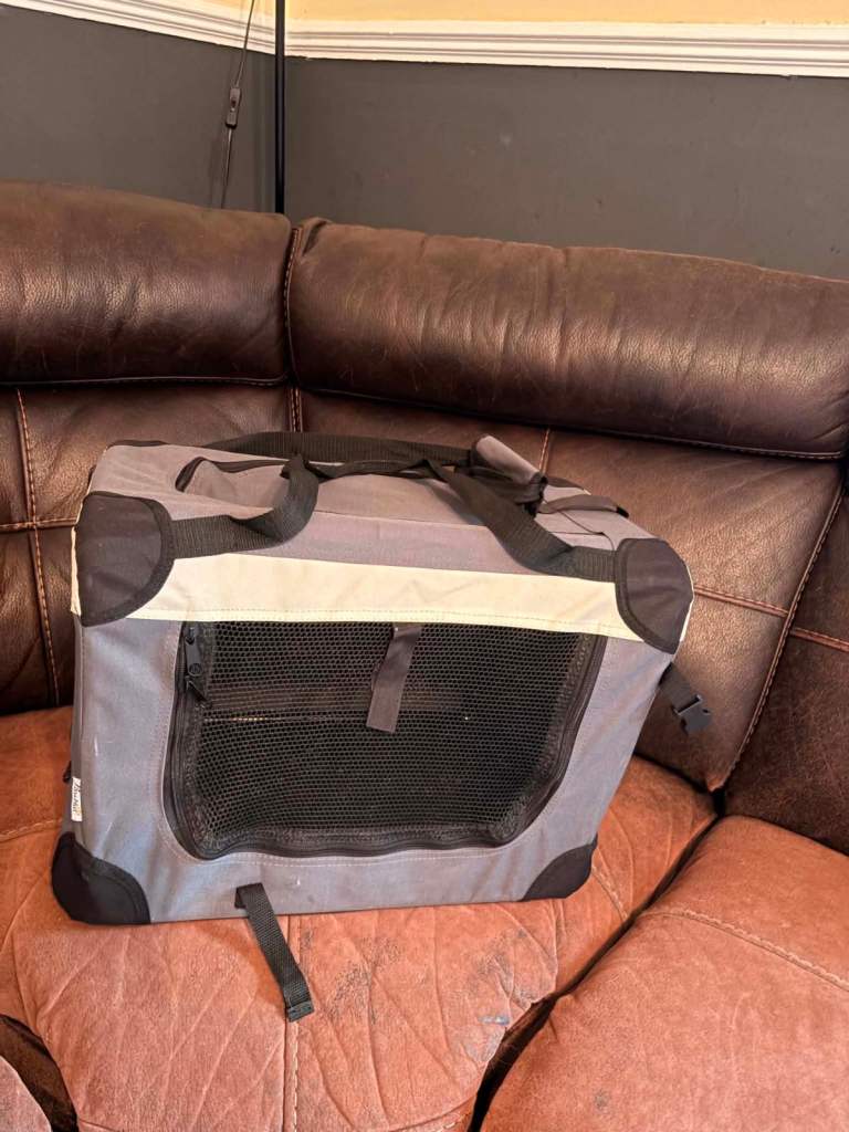 Dog carrier 