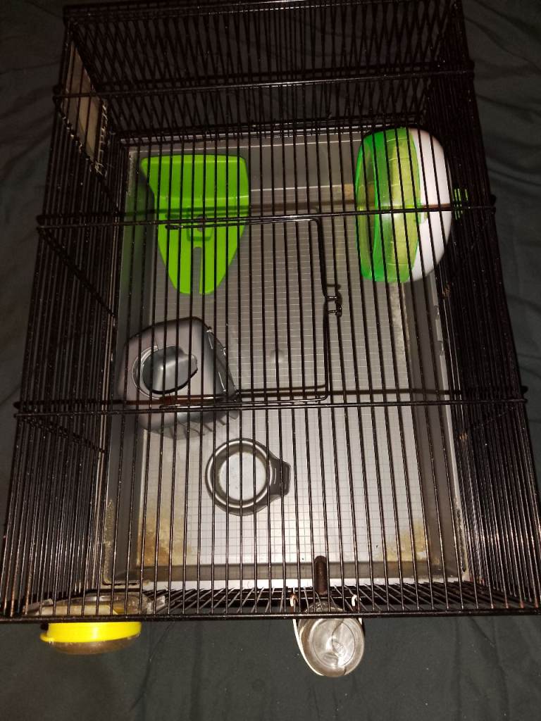 Hamster cage + accessories