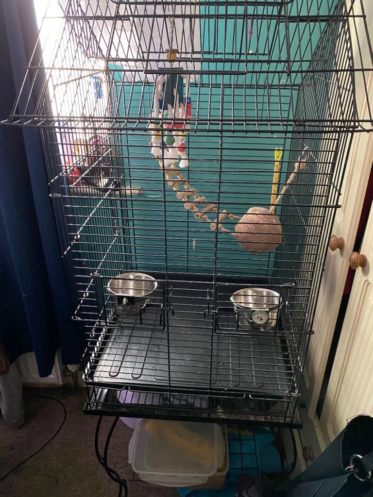 bird cage