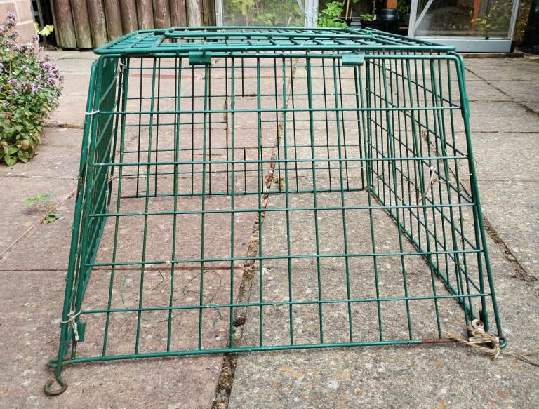 FREE Feeding cage for small birds.