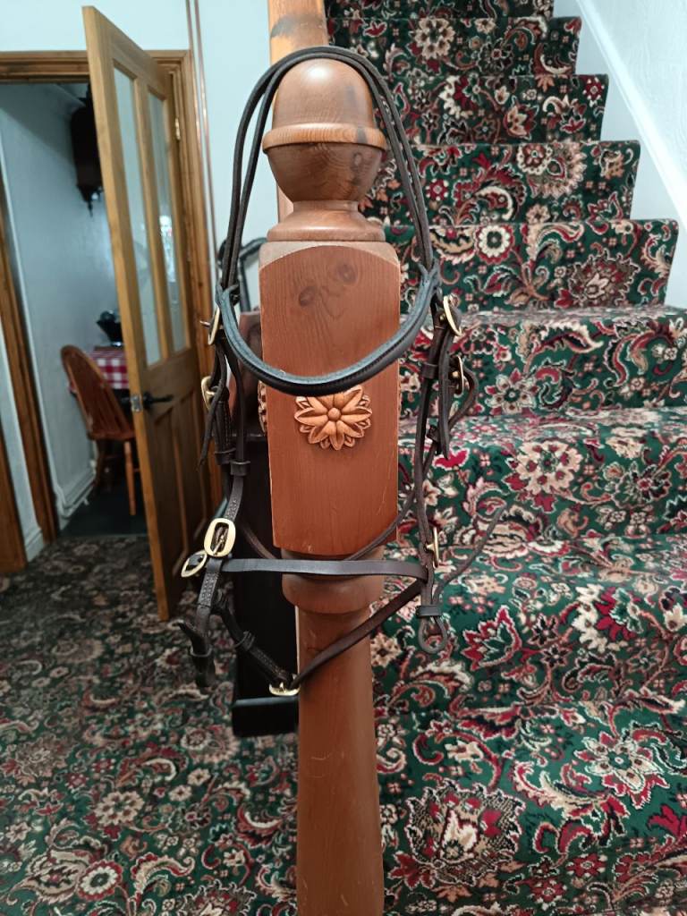 Mini Shetland bridle 