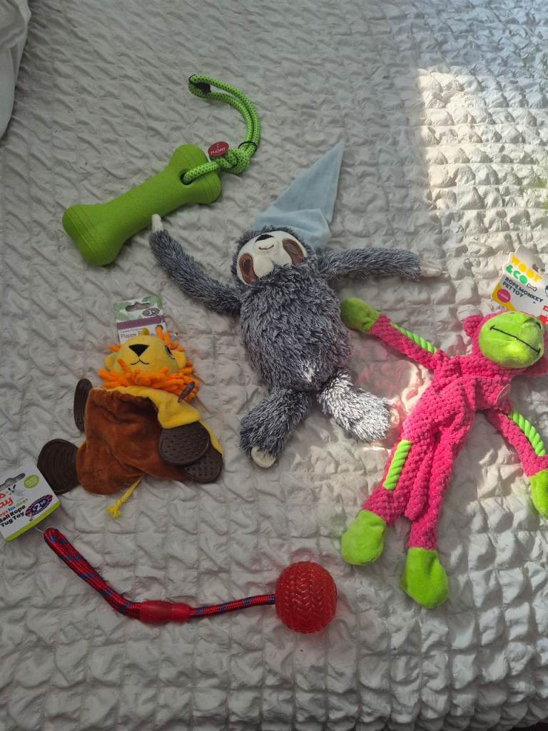 Dog toys new