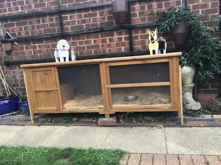 Large rabbit hutch. 3 x months old.