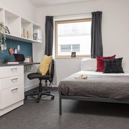 Accommodation in shared CLV Flat