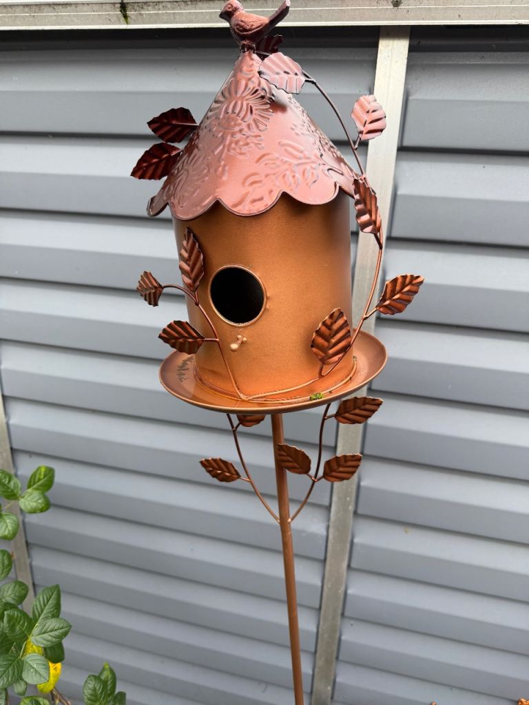 Garden stuff week old 20 each 