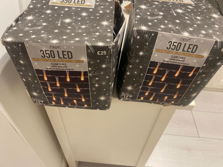  Christmas decorations and 700 lights