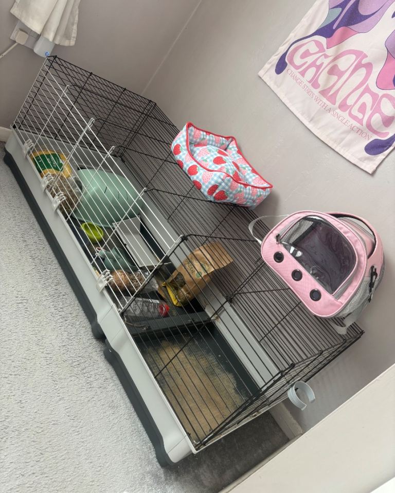 Guinea Pig Cage and Accessories 