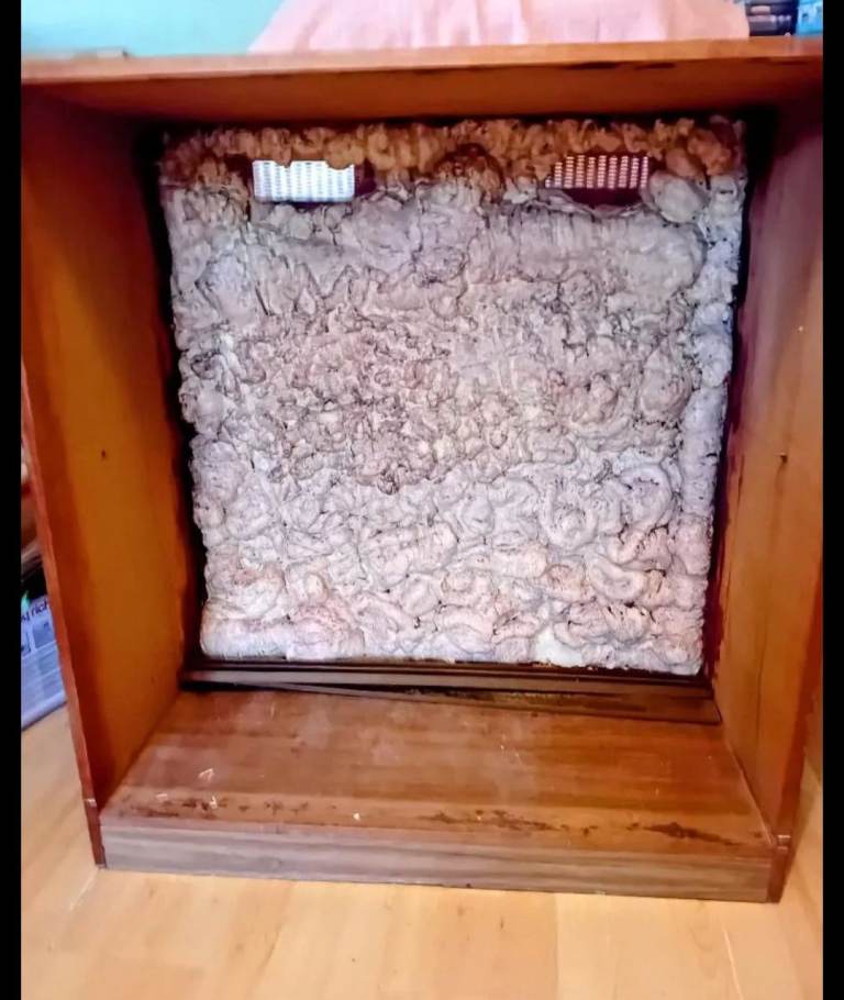 Wooden vivarium project 