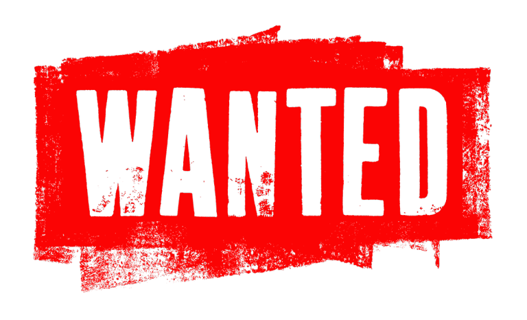 1/2 BED FLAT NEEDED GLASGOW 