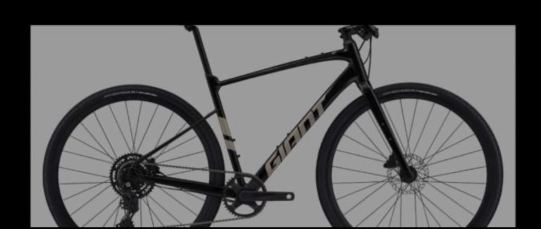 Giant bike